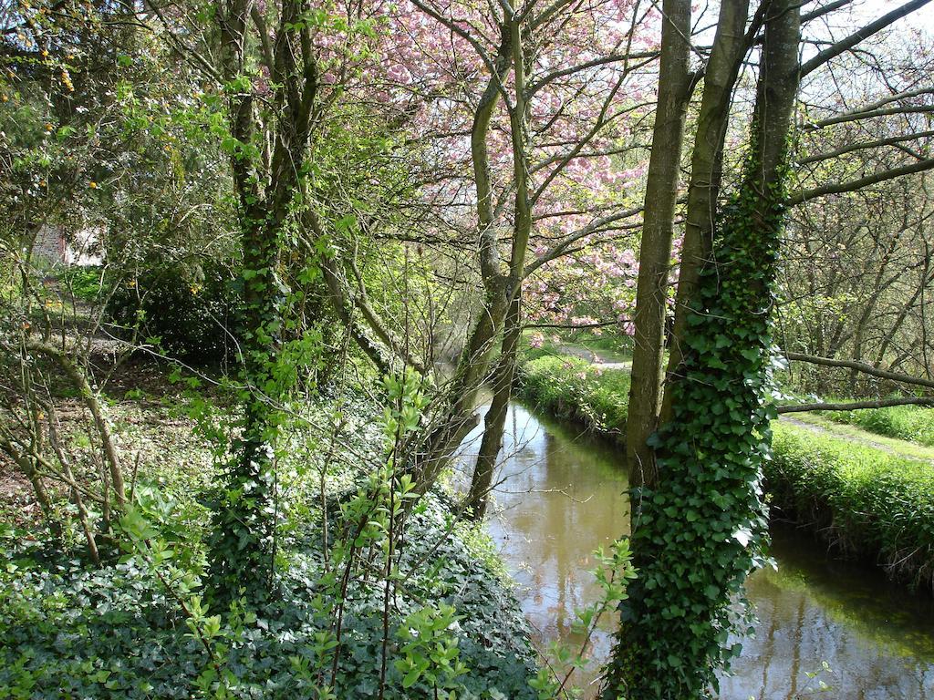 Les Vallees Du Guyoult Dol-de-Bretagne Exteriör bild